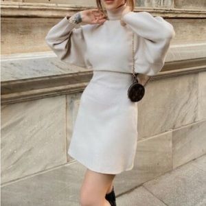 Zara Cinched Sweater Dress